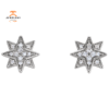 14KT White Gold Round Diamond Star Earrings