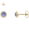 14KT YELLOW GOLD 0.54CT TANZANITE & 1/10 CTW DIAMOND EARRINGS