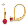 14KT YELLOW GOLD 0.70 CTW ROUND RUBY LEVERBACK EARRINGS